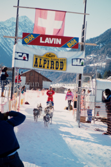 Alpirod Hundeschlittenrennen, Gespann im Ziel «Böt»