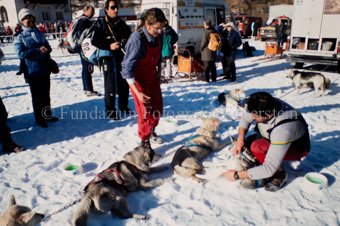 Alpirod Hundeschlittenrennen, Helfer bei Hunden