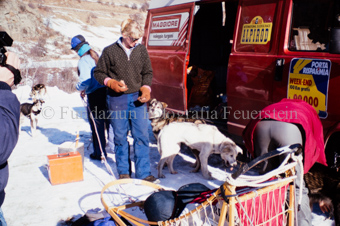 Alpirod Hundeschlittenrennen, Hunde werden bei Auto gefüttert