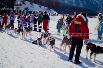 Alpirod Hundeschlittenrennen, Gespann im Ziel «Böt»