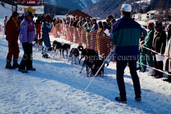 Alpirod Hundeschlittenrennen, Gespann im Ziel «Böt»