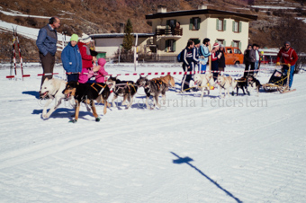 Alpirod Hundeschlittenrennen, Gespann im Ziel «Böt»