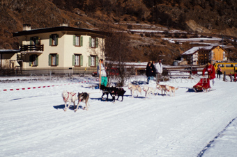 Alpirod Hundeschlittenrennen, Fahrer auf Schlitten mit Gespann beim Dorf