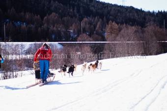 Alpirod Hundeschlittenrennen, Fahrer auf Schlitten mit Gespann
