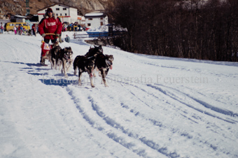 Alpirod Hundeschlittenrennen, Fahrer auf Schlitten mit Gespann beim Dorf