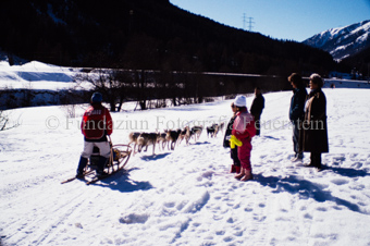 Alpirod Hundeschlittenrennen, Fahrer auf Schlitten mit Gespann bei Zuschauern