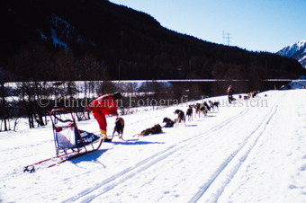 Alpirod Hundeschlittenrennen, Fahrer bei Schlitten mit Hunden im Schnee