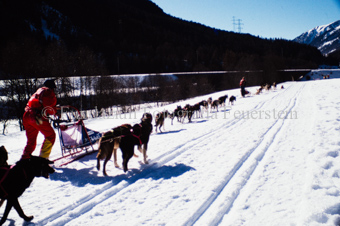 Alpirod Hundeschlittenrennen, Fahrer auf Schlitten mit Gespann