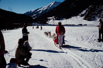 Alpirod Hundeschlittenrennen, Fahrer auf Schlitten mit Gespann bei Zuschauern