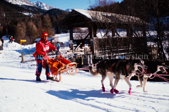 Alpirod Hundeschlittenrennen, Fahrer auf Schlitten mit Gespann bei Holzbrücke über Inn
