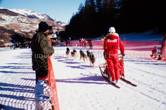 Alpirod Hundeschlittenrennen, Fahrer auf Schlitten mit Gespann vor dem Ziel