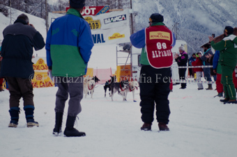 Alpirod Hundeschlittenrennen, Gespann im Ziel «Böt»