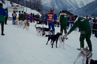 Alpirod Hundeschlittenrennen, Gespann im Ziel «Böt»