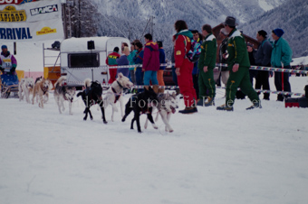 Alpirod Hundeschlittenrennen, Gespann im Ziel «Böt»