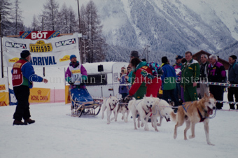 Alpirod Hundeschlittenrennen, Gespann im Ziel «Böt»