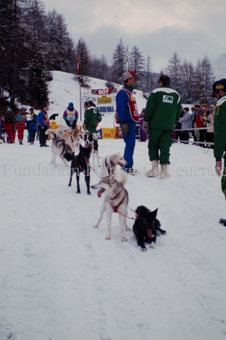 Alpirod Hundeschlittenrennen, Gespann im Ziel «Böt»