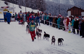 Alpirod Hundeschlittenrennen, Helfer bei Hunden