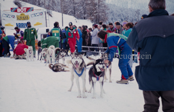 Alpirod Hundeschlittenrennen, Gespann im Ziel «Böt»