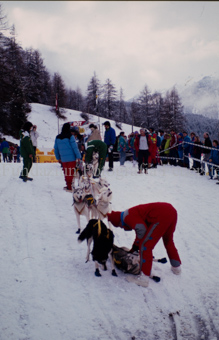 Alpirod Hundeschlittenrennen, Gespann im Ziel «Böt»