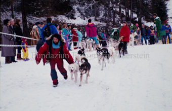 Alpirod Hundeschlittenrennen, Gespann im Ziel «Böt», Mann führt Hunde