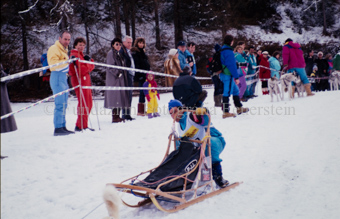 Alpirod Hundeschlittenrennen, Fahrer auf Schlitten