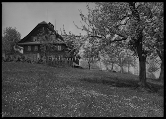 Wiese mit Bäumen, im Hintergrund Bauernhof, Frühling