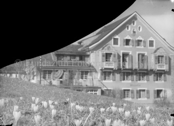 Grösseres Gebäude, mit Anbau, davor Krokussenwiese, unscharf