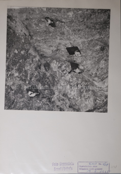 Via da S-charl, Druckstollen, 1964-1965
