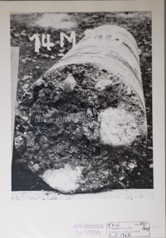 Zernez, Betonlabor, 1965-1969