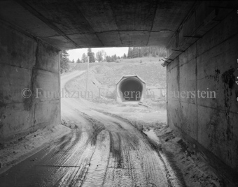 EKW Engadiner Kraftwerke