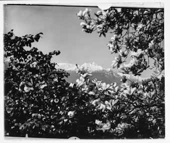 Berge