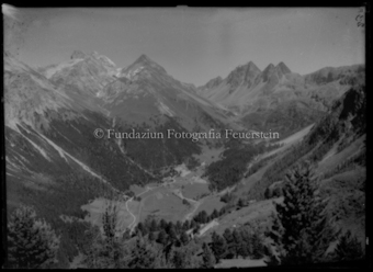 Bevers Albula