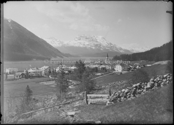 Bevers Albula
