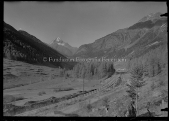 Bevers Albula