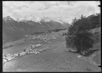 Dorf Ftan, Bäume im Hintergrund schneebedeckte Berge