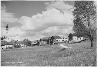 Ftan, Sicht von einer Wiese mit Baum
