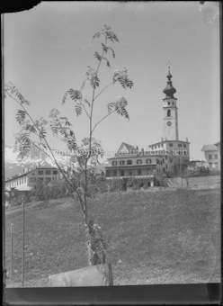 kleiner Baum im Vordergrund, Kirche von Ftan, im Hintergrund schneebedeckte Berge
