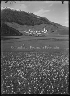 Dorf Ftan