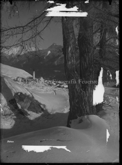 Schneelandschaftm, Baum, mit Dorf Ftan im Hintergrund