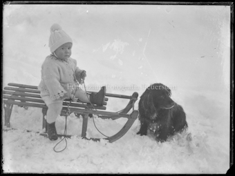 Porträt mit Kind auf einem Schlitten und einem Hund