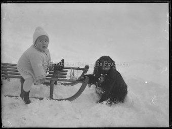 Porträt mit Kind auf einem Schlitten und einem Hund