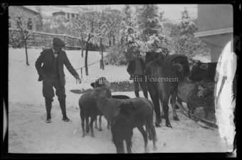 Personengruppe mit Pferdeschlitten, Kühen und Ziegen