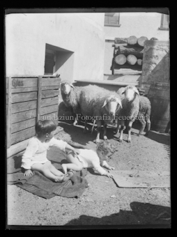 Persönliche Fotografien aus der Familie Feuerstein