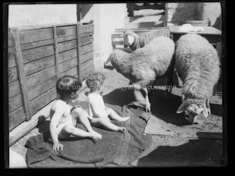 Persönliche Fotografien aus der Familie Feuerstein