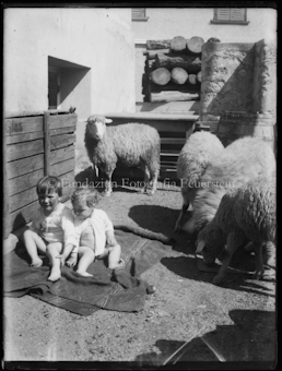Kleinkinder im Stall mit Schafen