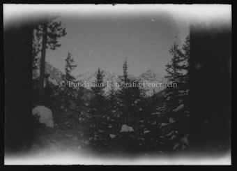 Wald, im Hintergrund Bergpanorama