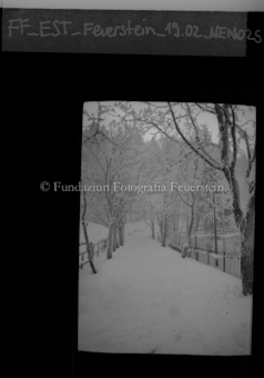 Weg im Winter