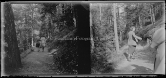 Frauen spazierend auf Waldweg