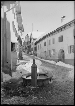 Winter Guarda