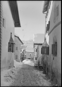 Winter Guarda
